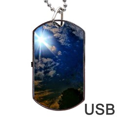 Sunny Day Dog Tag Usb Flash (one Side) by okhismakingart