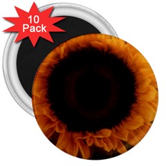 Single Sunflower 3  Magnets (10 Pack)  by okhismakingart