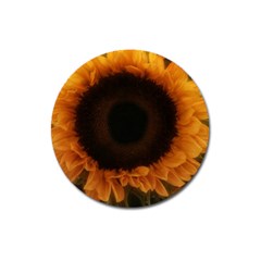 Single Sunflower Magnet 3  (round) by okhismakingart