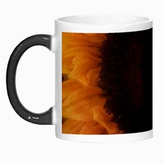 Single Sunflower Morph Mugs by okhismakingart