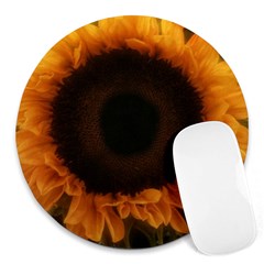 Single Sunflower Round Mousepads by okhismakingart