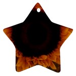 Single Sunflower Star Ornament (Two Sides) Front