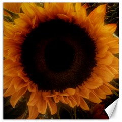 Single Sunflower Canvas 20  X 20  by okhismakingart