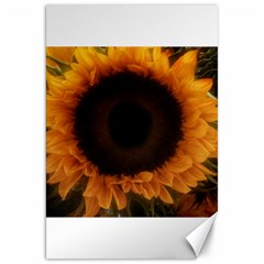 Single Sunflower Canvas 20  X 30  by okhismakingart