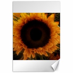 Single Sunflower Canvas 24  X 36  by okhismakingart