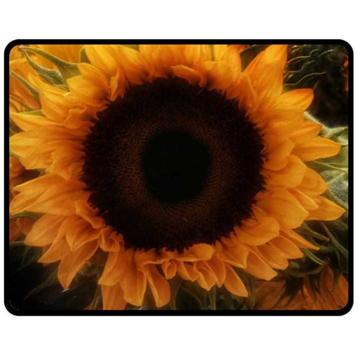 Single Sunflower Double Sided Fleece Blanket (Medium) 