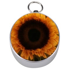 Single Sunflower Silver Compasses by okhismakingart