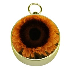 Single Sunflower Gold Compasses by okhismakingart