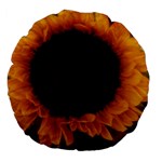 Single Sunflower Large 18  Premium Flano Round Cushions Back