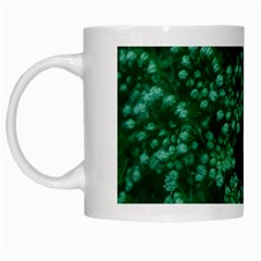 Green Queen Anne s Lace (up Close) White Mugs by okhismakingart