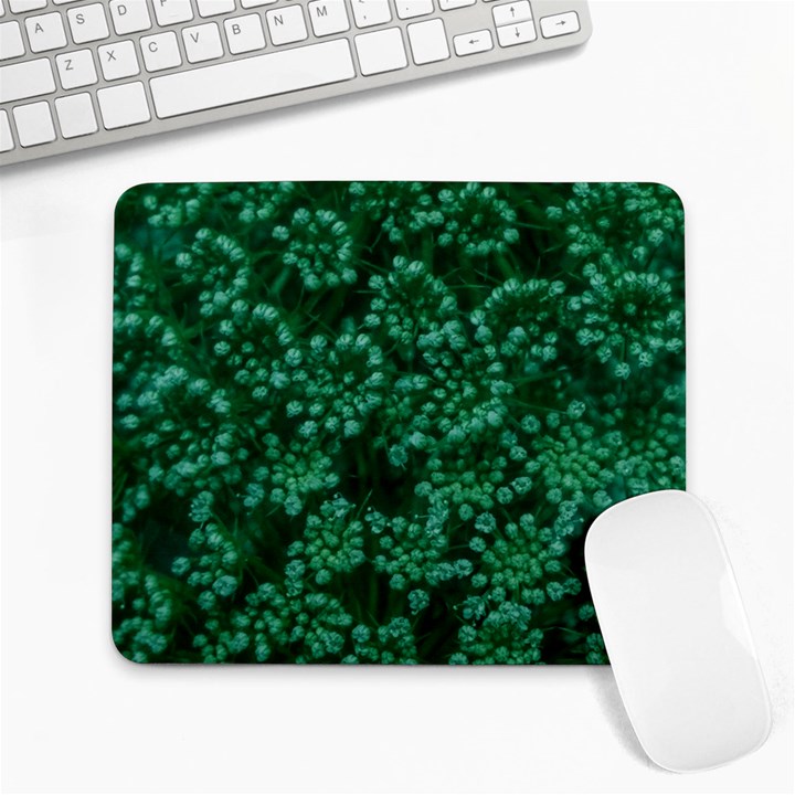 Green Queen Anne s Lace (Up Close) Large Mousepads