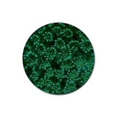 Green Queen Anne s Lace (up Close) Rubber Coaster (round)  by okhismakingart