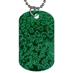 Green Queen Anne s Lace (up Close) Dog Tag (two Sides) by okhismakingart