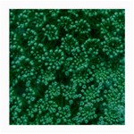 Green Queen Anne s Lace (Up Close) Medium Glasses Cloth (2-Side) Front