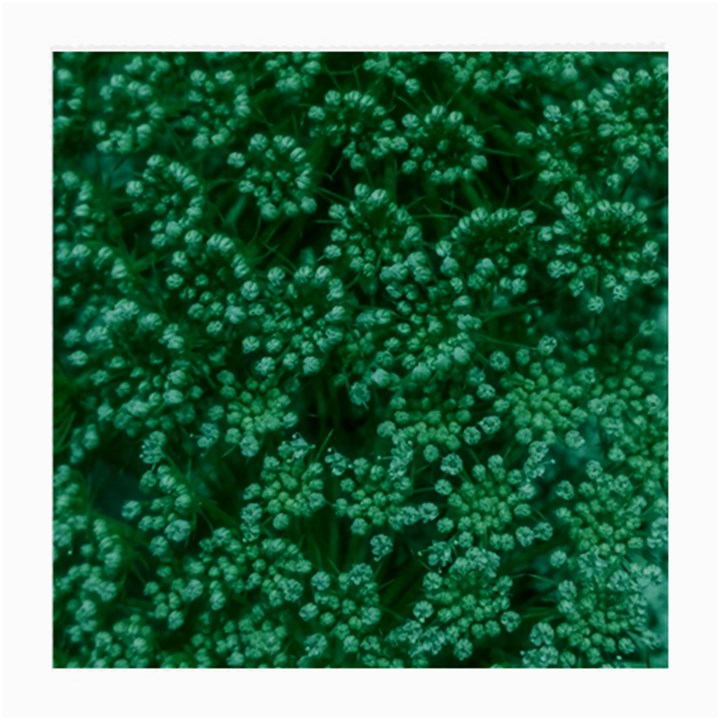 Green Queen Anne s Lace (Up Close) Medium Glasses Cloth (2-Side)