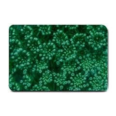 Green Queen Anne s Lace (up Close) Small Doormat  by okhismakingart