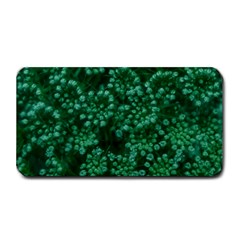 Green Queen Anne s Lace (up Close) Medium Bar Mats by okhismakingart