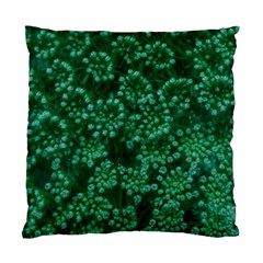 Green Queen Anne s Lace (up Close) Standard Cushion Case (one Side) by okhismakingart