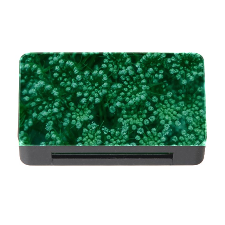 Green Queen Anne s Lace (Up Close) Memory Card Reader with CF