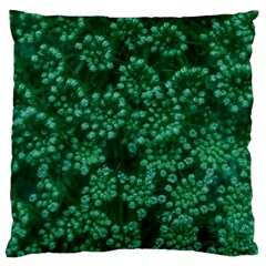 Green Queen Anne s Lace (up Close) Large Cushion Case (two Sides) by okhismakingart