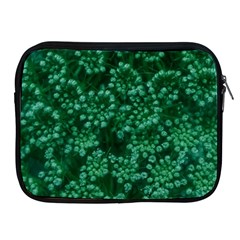 Green Queen Anne s Lace (up Close) Apple Ipad 2/3/4 Zipper Cases by okhismakingart