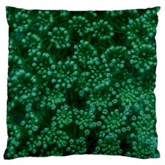 Green Queen Anne s Lace (up Close) Standard Flano Cushion Case (two Sides) by okhismakingart