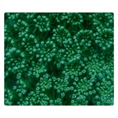 Green Queen Anne s Lace (up Close) Double Sided Flano Blanket (small)  by okhismakingart