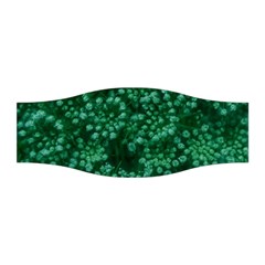 Green Queen Anne s Lace (up Close) Stretchable Headband by okhismakingart