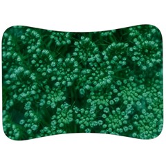 Green Queen Anne s Lace (up Close) Velour Seat Head Rest Cushion by okhismakingart