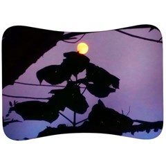 Moon And Catalpa Tree Velour Seat Head Rest Cushion