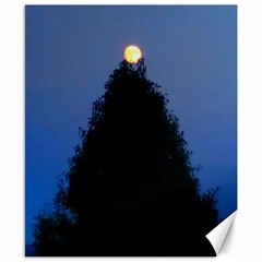 Tree And Moon Canvas 8  X 10  by okhismakingart