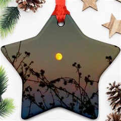 Moon And Thistle Ornament (star)