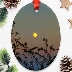 Moon And Thistle Oval Ornament (two Sides) by okhismakingart