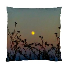 Moon And Thistle Standard Cushion Case (two Sides) by okhismakingart