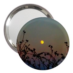 Moon And Thistle 3  Handbag Mirrors by okhismakingart