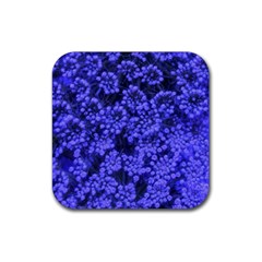 Blue Queen Anne s Lace (up Close) Rubber Coaster (square)  by okhismakingart