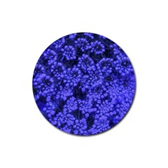 Blue Queen Anne s Lace (up Close) Rubber Coaster (round)  by okhismakingart