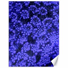 Blue Queen Anne s Lace (up Close) Canvas 18  X 24  by okhismakingart