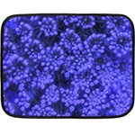 Blue Queen Anne s Lace (Up Close) Double Sided Fleece Blanket (Mini)  35 x27  Blanket Front