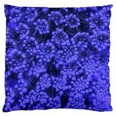 Blue Queen Anne s Lace (up Close) Standard Flano Cushion Case (two Sides) by okhismakingart