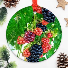 Blackberries Ornament (round) by okhismakingart