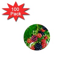 Blackberries 1  Mini Buttons (100 Pack)  by okhismakingart