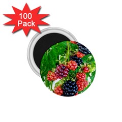 Blackberries 1 75  Magnets (100 Pack)  by okhismakingart