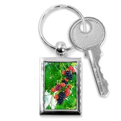 Blackberries Key Chains (rectangle)  by okhismakingart