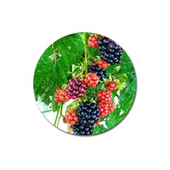 Blackberries Magnet 3  (round) by okhismakingart