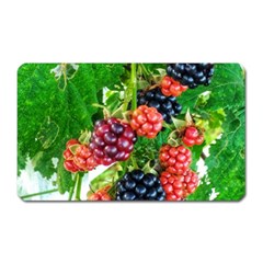 Blackberries Magnet (rectangular) by okhismakingart