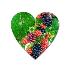 Blackberries Heart Magnet