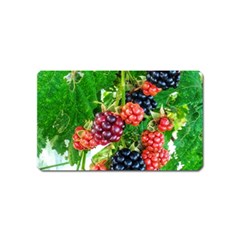 Blackberries Magnet (name Card) by okhismakingart