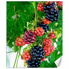 Blackberries Canvas 8  X 10  by okhismakingart