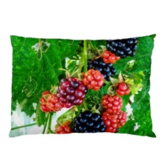 Blackberries Pillow Case by okhismakingart